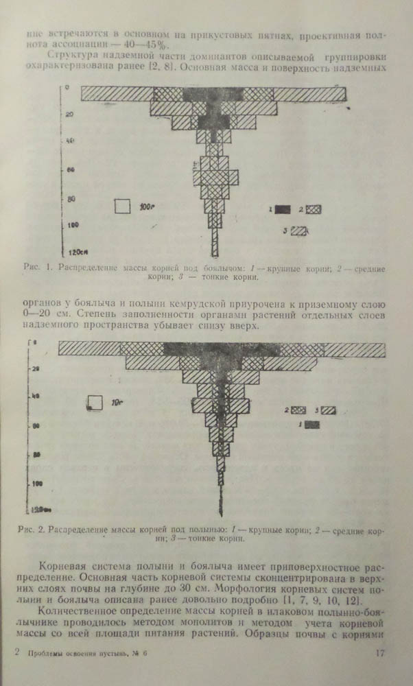 019